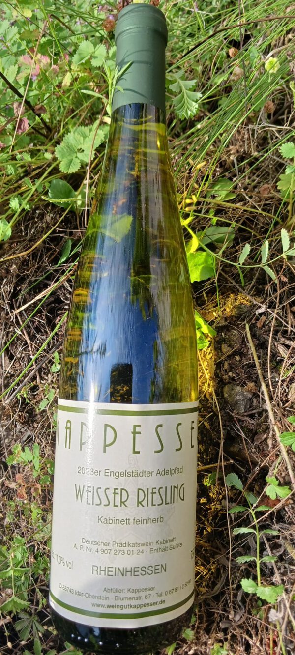 2023er Weißer Riesling Kabinett feinherb 0,75 l Engelstädter Adelpfad